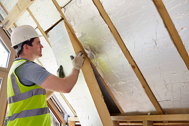 Best Insulation Maintenance and Repair in El Jebel, CO