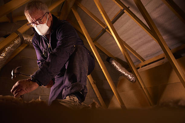 Trusted El Jebel, CO Insulation Contractor Experts